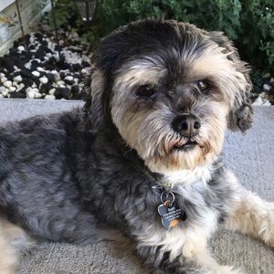 Meet your Posher, Emma